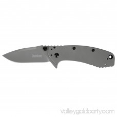 Kershaw Cryo II Pocket Knife (1556TI) 3.25-inch 8Cr13MoV Stainless Steel Blade and 410 Stainless Steel Handle, Full-Body Titanium Carbo-Nitride Coating, 4-Position Deep Carry Pocket Clip, 5.5 oz. 553633500
